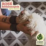Vilă Zamatos Turbolya Kishaz Es Wellness Pannonhalma