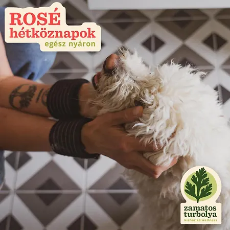 Villa Zamatos Turbolya Kisház és Wellness Pannonhalma